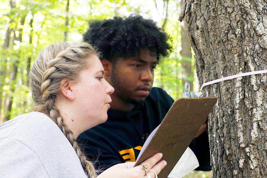 Skidmore students performing research outdoors